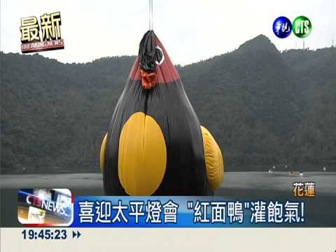 "紅面鴨"灌飽氣 可愛不輸黃小鴨