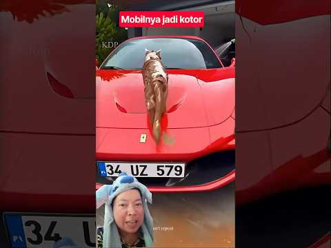mobilnya kotor⁉️