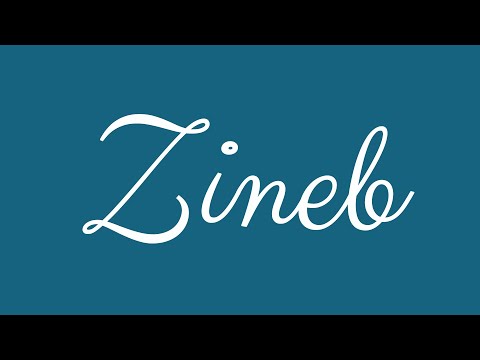 Learn how to Write the Name Zineb Signature Style in Cursive Writing