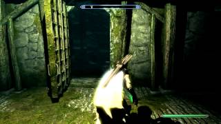 Skyrim - Loriele Van Helsing