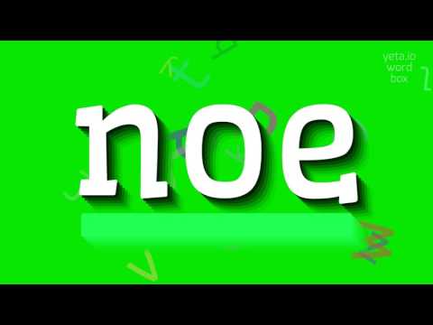 How to say "noe"! (High Quality Voices)