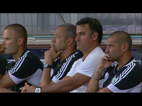 Toulouse FC - AS Saint-Etienne (2 - 1) - Highlights / 2012-13