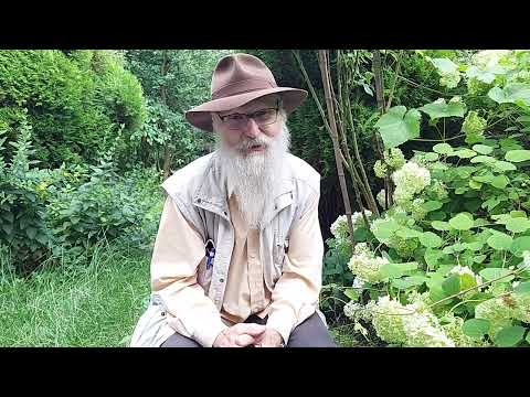 Józef Broda o Slot Art Festival