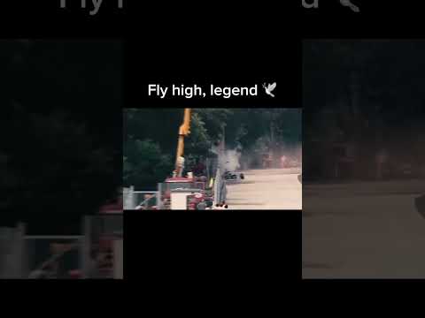 fly high, Ayrton Senna 🕊️f1 crash #f1 #ayrtonsenna #edit #sad #f1crash  #car #cars