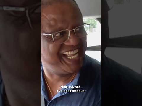 Le pire Stagaire auto école dispo en version longue sur notre chaîne YouTube ! 🔥