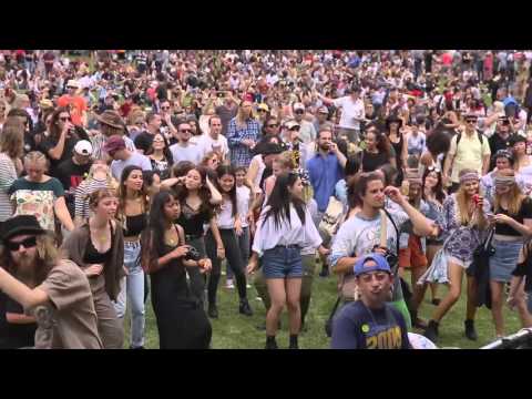 The Strides - Who Could it Be [Cover] (Live at Newtown Festival 2015)