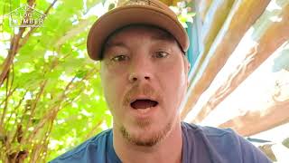 How do I get rid of Carpenter Bees  Let us show you!  We have tried it all.