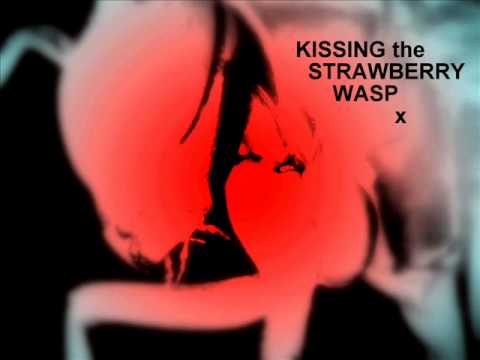 Tim Perkins - Kissing the Strawberry Wasp