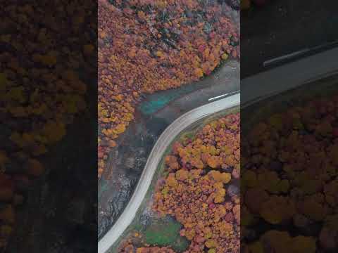 🎥 Otoño en Aysén, cuesta del Diablo, comuna de Río Ibáñez #short #shorts