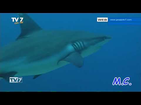 Tv7 con Voi del 14/5/2020 - Andiamo in Sudan (2 di 3)