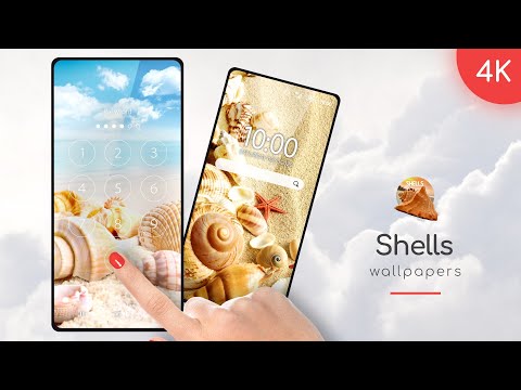 Shells Wallpapers in 4K