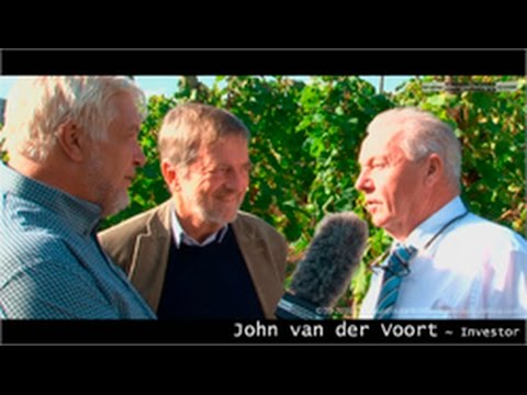 Der gute Tipp: Hafen Weingarten zur Marina Zell-Briedel