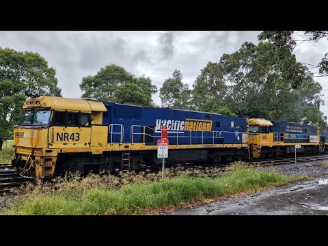 12/12/25 Pacific National Infrabuild Steel Train 6NY3 passing Marlene Reserve Greenacre 