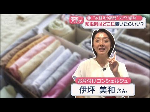 &ldquo;衣替えの疑問&rdquo;ズバリ解決　防虫剤はどこに置いたらいい？【スーパーJチャンネル】(2026年6月1日)