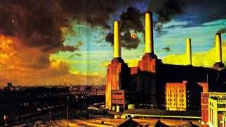 Pink Floyd Pigs Three Different Ones