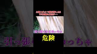 - 危険を感じるギャル霊媒師『飯塚唯先生』#shorts