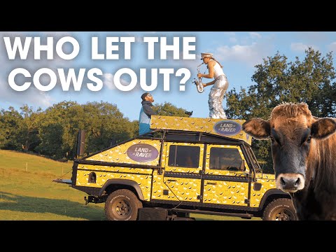 Sunset, Sax & Cows?! | Ellie Sax Live @ Whitebottom Farm