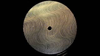 Frozen Wavelets (Heavenly Music Corporation Remix) / Abstinence / SR9468 [1994]