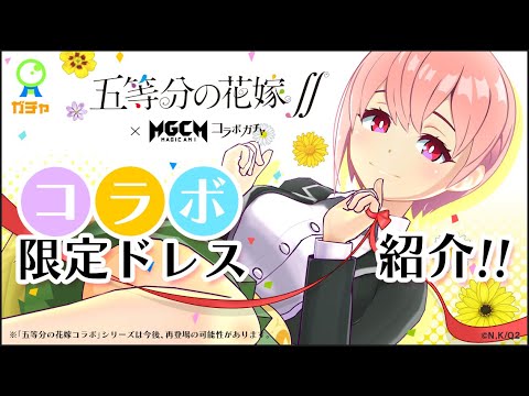 ڸ۸ʬβֲǡߥޥߥܥɥ쥹ھҲư