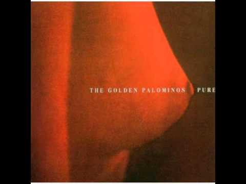 The Golden Palominos - Pure