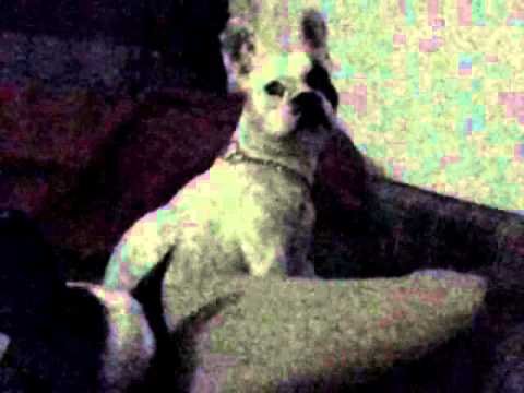 pequeña llorona. ¡ MI JUGUETE !.