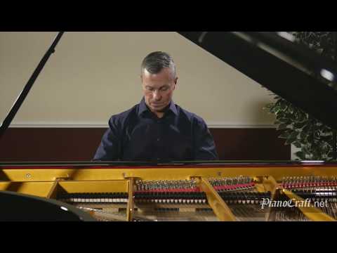 Michael Adcock Rondo Espressivo CPE Bach Estonia 274 Concert Grand
