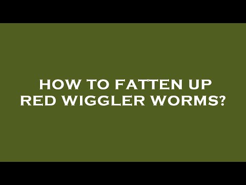 How to fatten up red wiggler worms?
