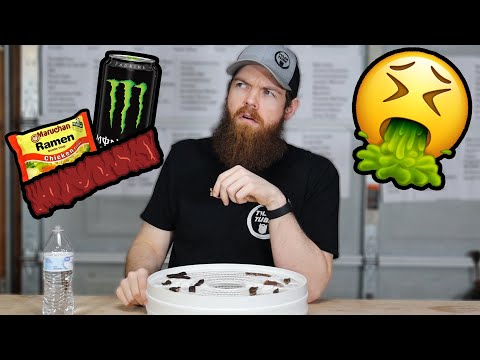 I Marinated Beef Jerky In Random Liquids!