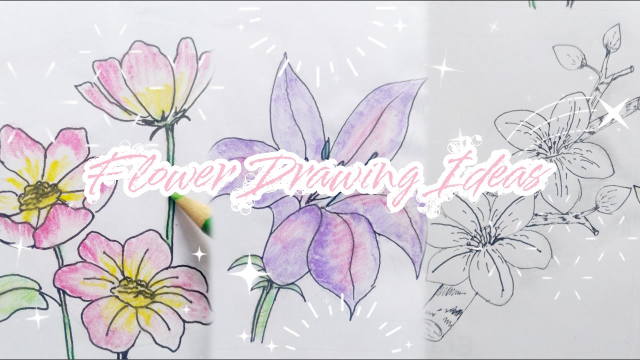 Easy and aesthetic✨flower🌸🪻🪷 drawing🎨 ideas for beginners//#art #drawing