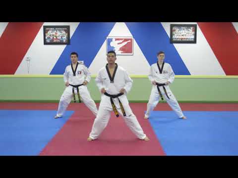 Han Bros Taekwondo Red Belt Hand Techniques 78-87