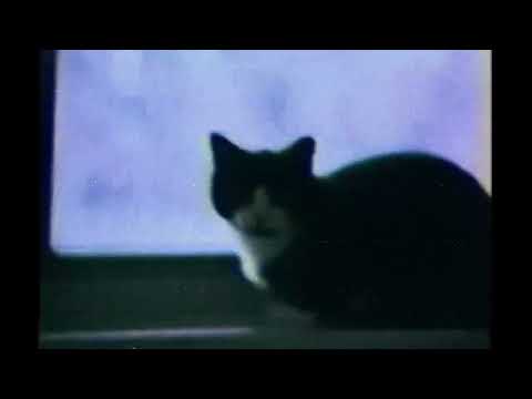 [FREE] Post Punk x Molchat Doma x Vestron Vulture x Doomer x Type Beat - "Fangtasia" [prod.jUdAh]