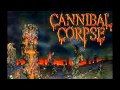 Cannibal Corpse - A Skeletal Domain (Full Album ...