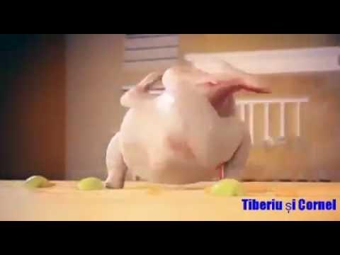 Dai din buci ca gaina