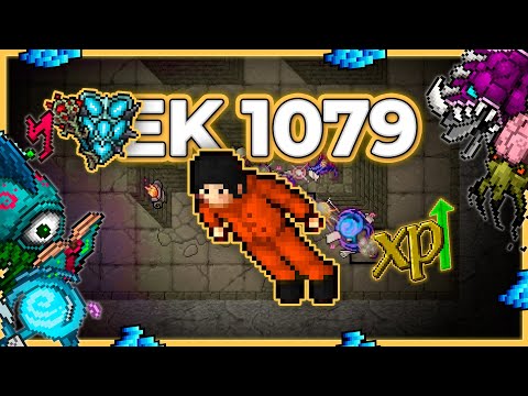 EK 1079 + ED Hunt Duo Secret Library Energy Section 9kk/h Raw + 3.3kk Profit - Tibia Hunt [13.21]