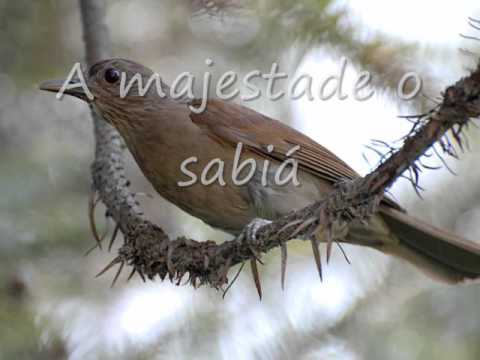 A majestade o Sabiá   Roberta Miranda