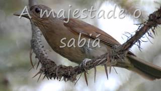 A majestade o Sabiá   Roberta Miranda