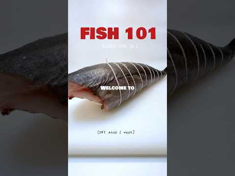 FISH 101 - Black Cod ep.1 #chef #cooking #fishing #dryaged