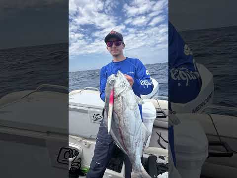 Bora agendar sua pescaria, Henrique Razera guia de pesca em pontal do Paraná