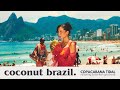 This Brazilian Playlist Found You