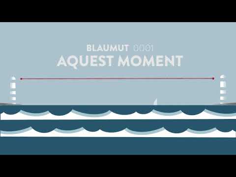 Blaumut - Aquest moment ( audio oficial) #0001