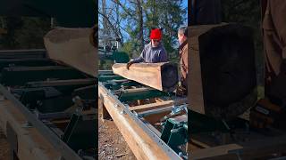 Milling a black walnut log. What should we mill next? #diy #sawmill #satisfying