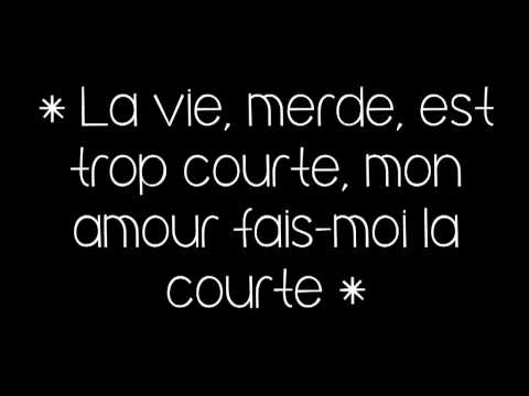 Benjamin Biolay Vanessa Paradis Profite (paroles / lyrics)