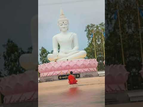 Majjhima Nikaya (MN 34) : Culagopalaka Sutta