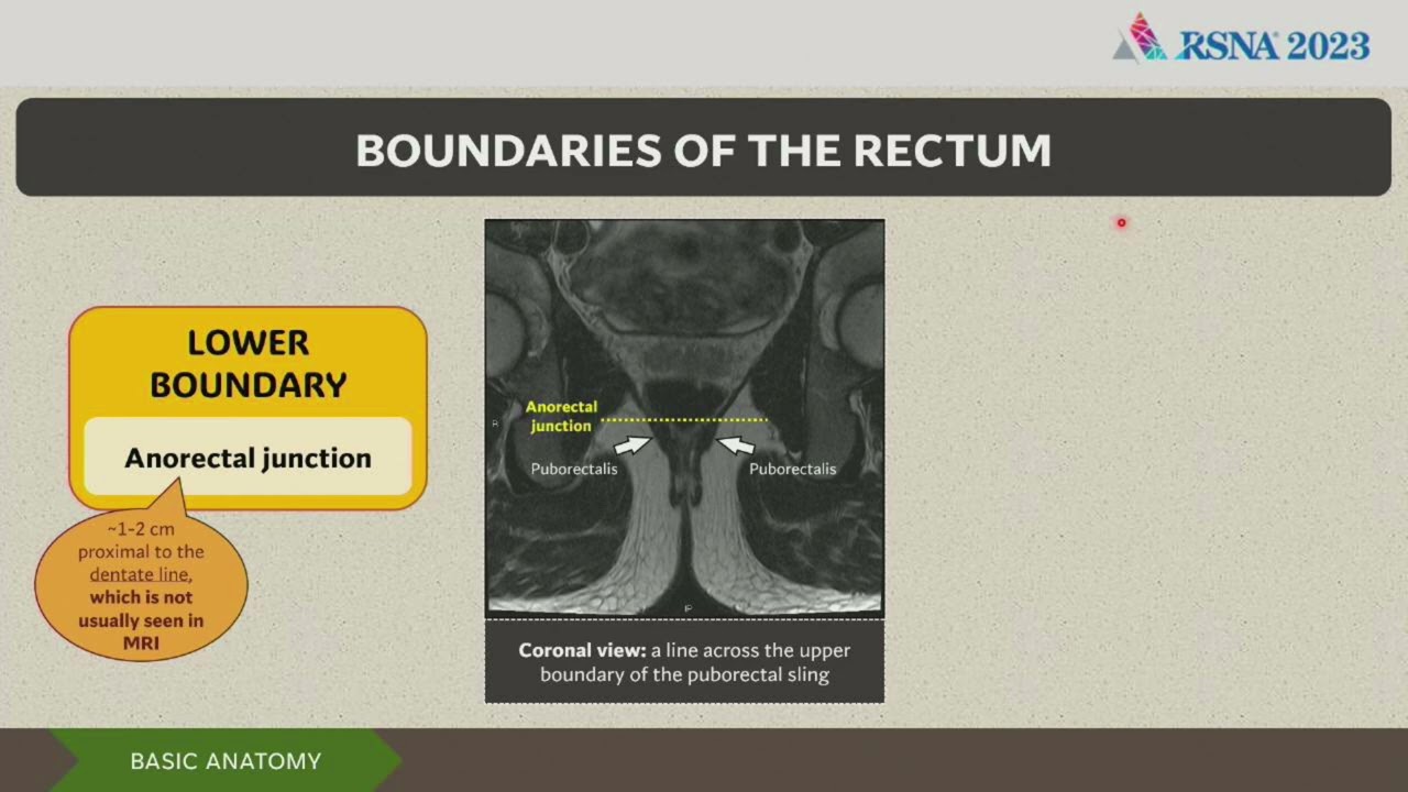 Trabalhos Brasileiros Condecorados no RSNA 2023