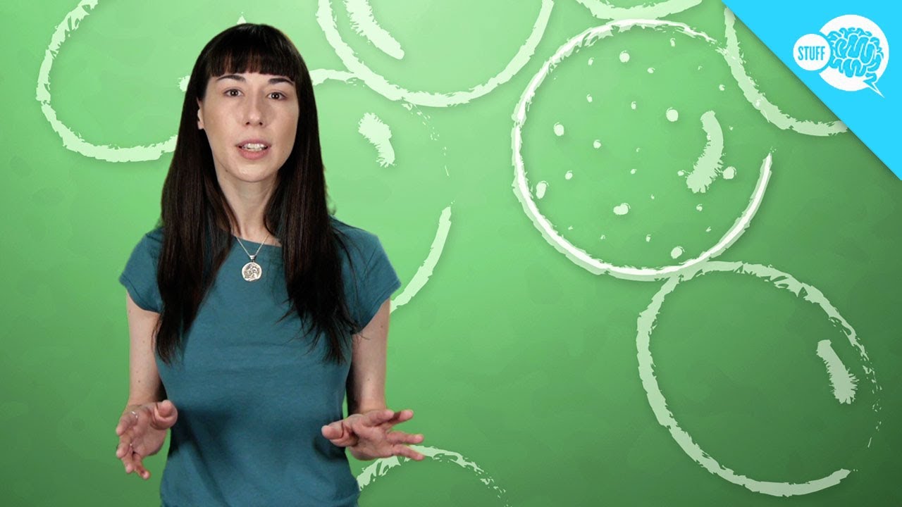 How Does Silica Gel Work?