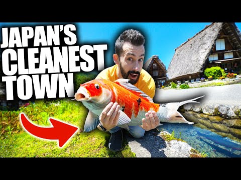 我參觀了世界上最乾淨的小鎮 (I Visited The World's CLEANEST Town)