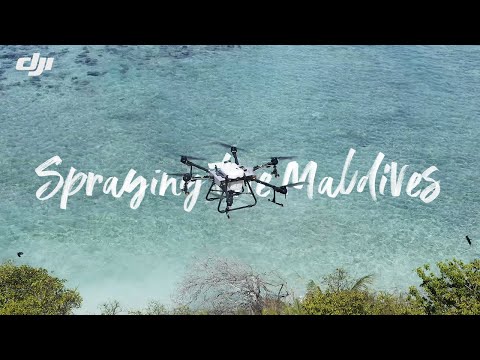 Using spray drones to protect the Maldives | DJI Stories