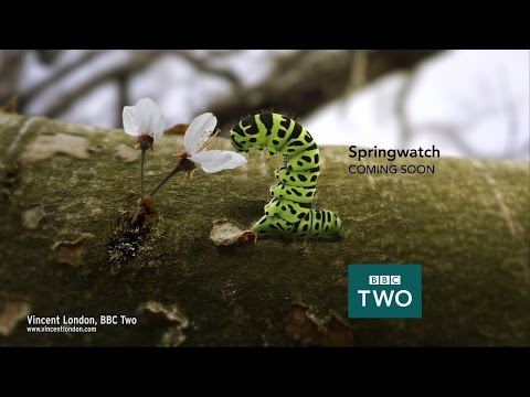 Cinema 4D General Reel 2018 UK and Ireland