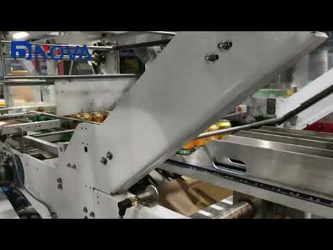 Nova Carton Packer-Wrap around case packer beer beverage linear packing machine one piece carton