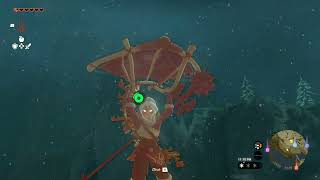 Ice Keese Farming | Tears of The Kingdom | The Legend of Zelda
